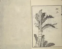 Picture 12 of 12 from Illustrated “Anthology of Tang-Dynasty Poems” in Five-Syllable Lines (Tōshisen ehon gogon ritsu hairitsu) (1833), leaf 17