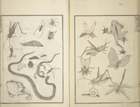 An illustration from Transmitting the Spirit, Revealing the Form of Things, Volume 1 to 15 of Hokusai Sketchbooks (Denshin kaishu: Hokusai manga, shohen - jugohen) (1848)