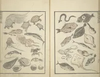 An illustration from Transmitting the Spirit, Revealing the Form of Things, Volume 1 to 15 of Hokusai Sketchbooks (Denshin kaishu: Hokusai manga, shohen - jugohen) (1848)