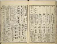 An illustration from Transmitting the Spirit, Revealing the Form of Things, Volume 1 to 15 of Hokusai Sketchbooks (Denshin kaishu: Hokusai manga, shohen - jugohen) (1848)