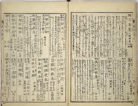 An illustration from Transmitting the Spirit, Revealing the Form of Things, Volume 1 to 15 of Hokusai Sketchbooks (Denshin kaishu: Hokusai manga, shohen - jugohen) (1848)
