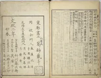 An illustration from Transmitting the Spirit, Revealing the Form of Things, Volume 1 to 15 of Hokusai Sketchbooks (Denshin kaishu: Hokusai manga, shohen - jugohen) (1848)