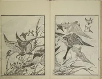 An illustration from Picture Album Transmitting the Spirit: The Hokusai Drawing Style (Denshin gafu Hokusai gashiki) (1819)