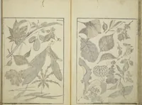 An illustration from Transmitting the Spirit, Revealing the Form of Things, Volume 1 to 15 of Hokusai Sketchbooks (Denshin kaishu: Hokusai manga, shohen - jugohen) (1848)