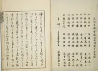 An illustration from Transmitting the Spirit, Revealing the Form of Things, Volume 6 of Hokusai Sketchbooks (Denshin kaishu: Hokusai manga, gohen)