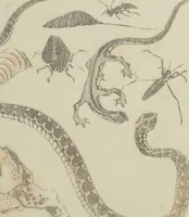 An illustration from Transmitting the Spirit, Revealing the Form of Things, Volume 1 to 15 of Hokusai Sketchbooks (Denshin kaishu: Hokusai manga, shohen - jugohen) (1848)