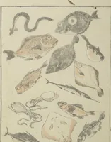 An illustration from Transmitting the Spirit, Revealing the Form of Things, Volume 1 to 15 of Hokusai Sketchbooks (Denshin kaishu: Hokusai manga, shohen - jugohen) (1848)