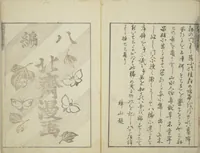 An illustration from Transmitting the Spirit, Revealing the Form of Things, Volume 1 to 15 of Hokusai Sketchbooks (Denshin kaishu: Hokusai manga, shohen - jugohen) (1848)