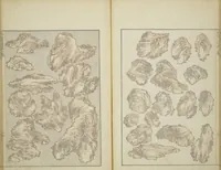 Picture 15 of 23 from Transmitting the Spirit, Revealing the Form of Things, Volume 1 to 15 of Hokusai Sketchbooks (Denshin kaishu: Hokusai manga, shohen - jugohen) (1848), leaf 17