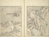 An illustration from Transmitting the Spirit, Revealing the Form of Things, Volume 1 to 15 of Hokusai Sketchbooks (Denshin kaishu: Hokusai manga, shohen - jugohen) (1848)