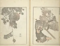 An illustration from Transmitting the Spirit, Revealing the Form of Things, Volume 1 to 15 of Hokusai Sketchbooks (Denshin kaishu: Hokusai manga, shohen - jugohen) (1848)