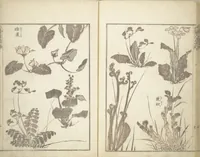 An illustration from Transmitting the Spirit, Revealing the Form of Things, Volume 1 to 15 of Hokusai Sketchbooks (Denshin kaishu: Hokusai manga, shohen - jugohen) (1848)
