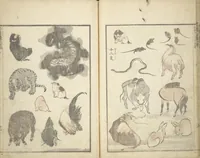 An illustration from Transmitting the Spirit, Revealing the Form of Things, Volume 1 to 15 of Hokusai Sketchbooks (Denshin kaishu: Hokusai manga, shohen - jugohen) (1848)
