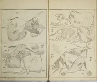 An illustration from Picture Album Transmitting the Spirit: The Hokusai Drawing Style (Denshin gafu Hokusai gashiki) (1819)