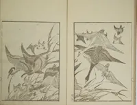An illustration from Picture Album Transmitting the Spirit: The Hokusai Drawing Style (Denshin gafu Hokusai gashiki) (1819)
