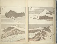 An illustration from Transmitting the Spirit, Revealing the Form of Things, Volume 1 to 15 of Hokusai Sketchbooks (Denshin kaishu: Hokusai manga, shohen - jugohen) (1848)