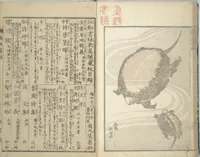 An illustration from Transmitting the Spirit, Revealing the Form of Things, Volume 1 to 15 of Hokusai Sketchbooks (Denshin kaishu: Hokusai manga, shohen - jugohen) (1848)