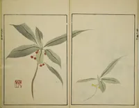 An illustration from Ōson (Hōitsu) Picture Album (Ōson gafu) (1817)