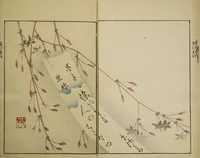 An illustration from Ōson (Hōitsu) Picture Album (Ōson gafu) (1817)