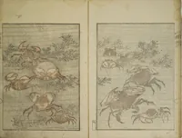 Picture 11 of 22 from Picture Album Transmitting the Spirit: The Hokusai Drawing Style (Denshin gafu Hokusai gashiki) (1819), leaf 12