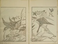 Picture 16 of 22 from Picture Album Transmitting the Spirit: The Hokusai Drawing Style (Denshin gafu Hokusai gashiki) (1819), leaf 19
