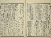 An illustration from Transmitting the Spirit, Revealing the Form of Things, Volume 1 to 15 of Hokusai Sketchbooks (Denshin kaishu: Hokusai manga, shohen - jugohen) (1848)