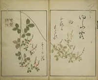 An illustration from Picture Album by Ōson (Hōitsu) (Ōson fuga) (1817)