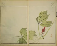 An illustration from Picture Album by Ōson (Hōitsu) (Ōson fuga) (1817)