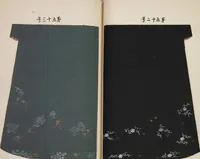 An illustration from Hanafubuki / [chosakusha Ueno Seikō] (1904)