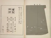 Picture 16 of 16 from Hanafubuki / [chosakusha Ueno Seikō] (1904), leaf 53