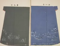 Picture 5 of 16 from Hanafubuki / [chosakusha Ueno Seikō] (1904), leaf 7