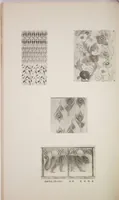 An illustration from Mokugo zuanshū / Mokugokai hen (1908)