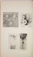 Picture 36 of 92 from Mokugo zuanshū / Mokugokai hen (1908), leaf 70