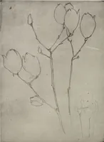 An illustration from Mokugo zuanshū / Mokugokai hen (1908)