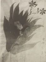An illustration from Mokugo zuanshū / Mokugokai hen (1908)
