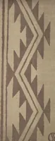 An illustration from Hōkoku zushū / hissha Sawada Seiichirō, Sanfuranshisuko Bankoku Hakurankai Kyoto Shuppin Kyōkai : [volume 1] (1915)