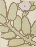 An illustration from Hōkoku zushū / hissha Sawada Seiichirō, Sanfuranshisuko Bankoku Hakurankai Kyoto Shuppin Kyōkai : [volume 1] (1915)