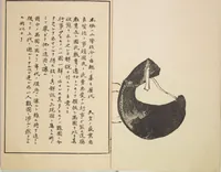 An illustration from Illustrated Journal of Japanese History no. 1-10 (Nihon Rekishi Gaho) : [volume 6] (1892)
