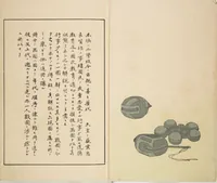 An illustration from Illustrated Journal of Japanese History no. 1-10 (Nihon Rekishi Gaho) : [volume 4] (1892)