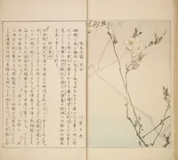 An illustration from World of Fine Arts (Bijutsu Sekai) : [volume 5] (1891)