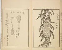 An illustration from New Ideas for Designs (Shin’an ishō chigozakura) (1890)