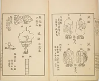 An illustration from New Ideas for Designs (Shin’an ishō chigozakura) (1890)