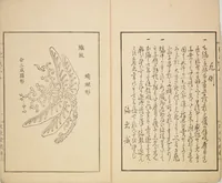An illustration from New Ideas for Designs (Shin’an ishō chigozakura) (1890)