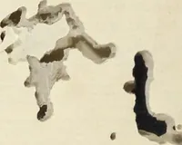 An illustration from Patterns of Brocades Worn at Court (Shōzoku shokumon zue 装束織文図会) (1815)