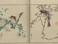 An illustration from Picture Album of Various Birds (Shūchō gafu 聚鳥畫譜) (1885)