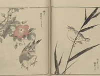 An illustration from Picture Album of Various Birds (Shūchō gafu 聚鳥畫譜) (1885)