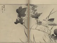An illustration from Picture Album of Various Birds (Shūchō gafu 聚鳥畫譜) (1885)