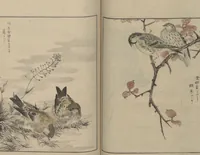 An illustration from Picture Album of Various Birds (Shūchō gafu 聚鳥畫譜) (1885)