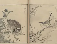 An illustration from Picture Album of Various Birds (Shūchō gafu 聚鳥畫譜) (1885)