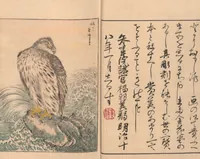 An illustration from Picture Album of Various Birds (Shūchō gafu 聚鳥畫譜) (1885)